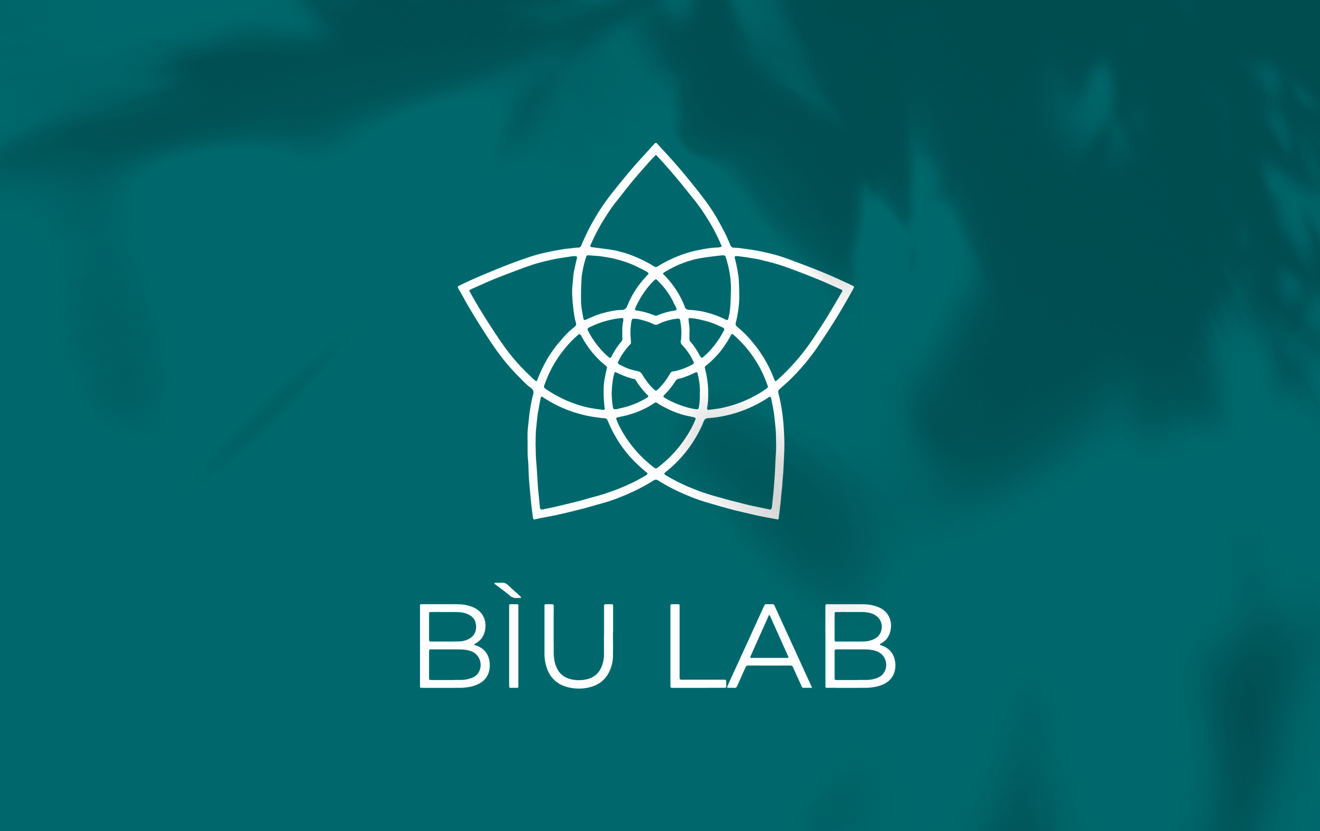 mockup_biulab-logo