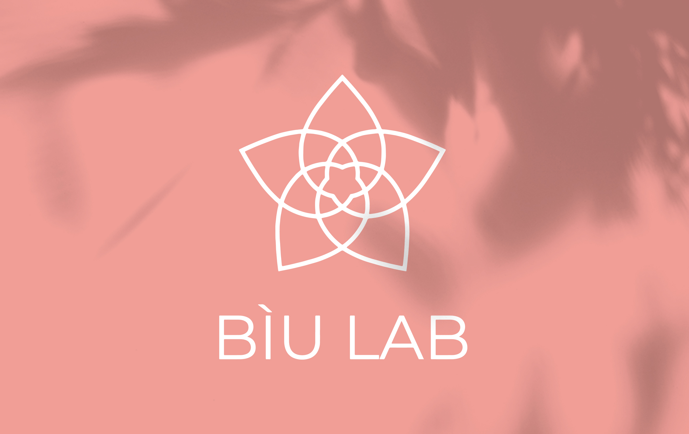 mockup_biulab-logo2