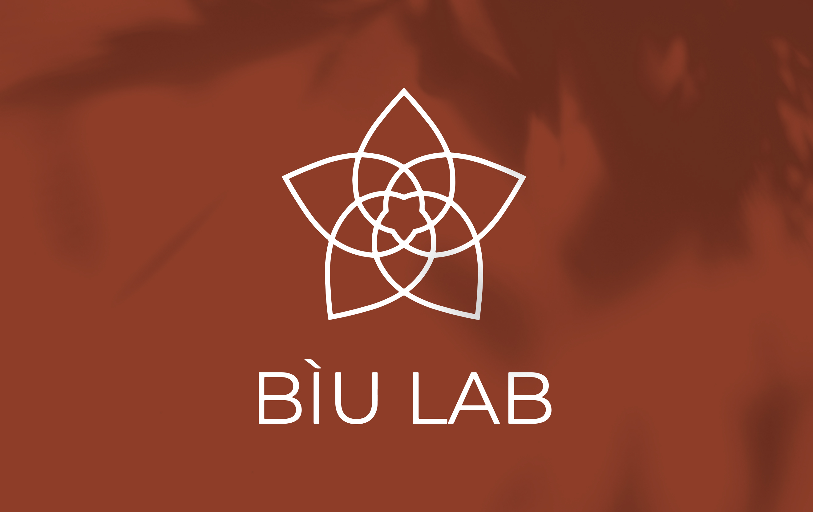 mockup_biulab-logo3